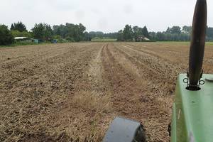 Feld im Herbst